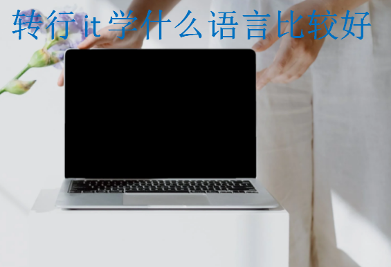 转行it学什么语言比较好