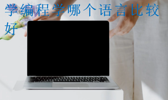 学编程学哪个语言比较好