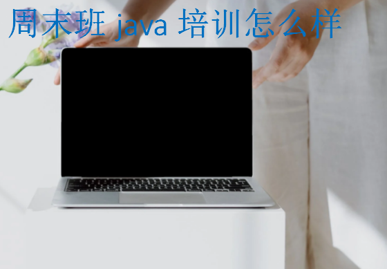 周末班java培训怎么样