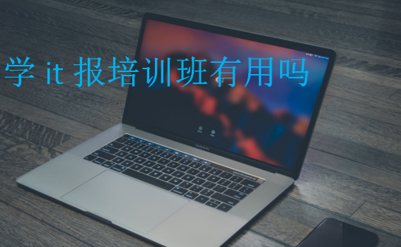 学it报培训班有用吗