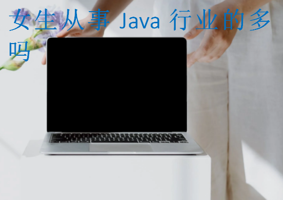 女生从事Java行业的多吗