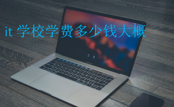 it学校学费多少钱大概