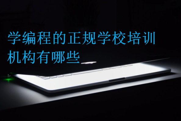 学编程的正规学校培训机构有哪些