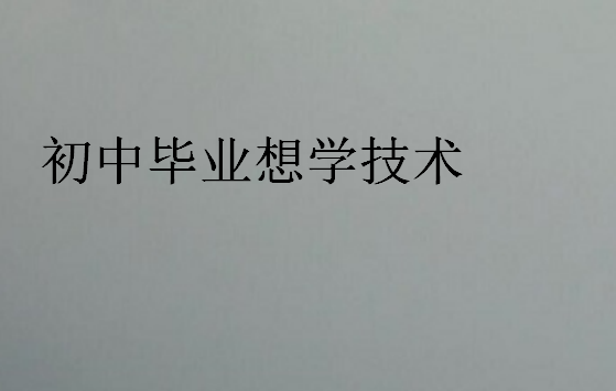 初中毕业想学技术