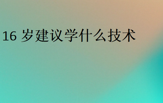 适合16岁学的技术