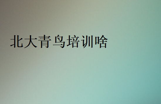 北大青鸟培训啥