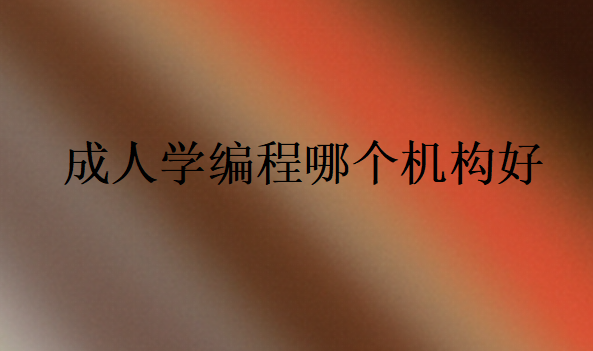 成人学编程哪个机构好