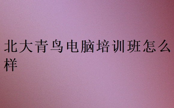 北大青鸟电脑培训班怎么样